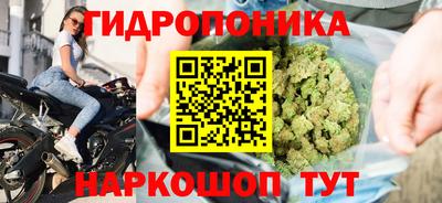 тгк Заводоуковск
