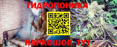 мдпв Жуковский